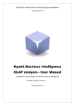 Kyubit Business Intelligence OLAP analysis
