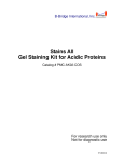 Stains All Gel Staining Kit for Acidic Proteins - B