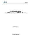 AT Command Manual For ZTE Corporation`s