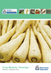 Crop Module: Parsnips - Red Tractor Assurance