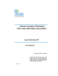 Human Foreskin Fibroblast Cell Lines