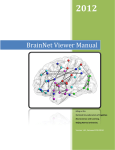 BrainNet Viewer Manual 1.41 (PDF version, 2M)