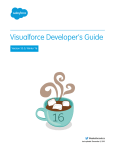 Visualforce Developer`s Guide