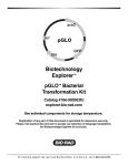 pGLO Bacterial Transformation - Bio-Rad