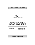 PST 1000 Watt 12 and 24 Volt Models PDF file