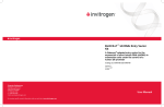 U6 RNAi Entry Vector (BLOCKiT)