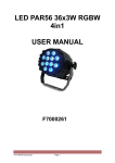 LED PAR56 36x3W RGBW 4in1 USER MANUAL - Flash
