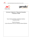 Common Criteria for IT Security Evaluation Protection Profile