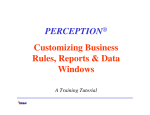 PERCEPTION Customizing Business Rules, Reports & Data Windows