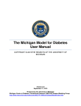 The Michigan Model for Diabetes User Manual