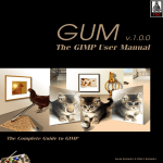 GUM, The GIMP User`s Manual