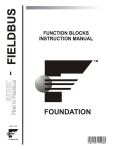 FOUNDATION