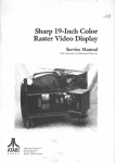 Sharp 19-Inch Color Raster Video Display