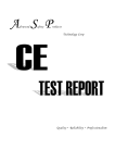 Test Report