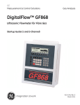 DigitalFlow™ GF868 - GE Measurement & Control