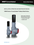 19000 Series Consolidated Safety Relief Valve