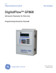 DigitalFlow™ GF868 - GE Measurement & Control