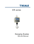 DR series Hanging Scales