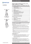 RAIMONDI - Pentair