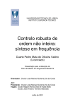 Controlo robusto de ordem não inteira