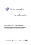 Business Report e eport eXpert