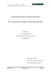Relatório Final Projecto em Contexto Empresarial I