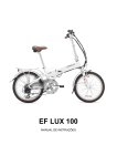 EF LUX 100 - Coluer Bicycles