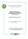 Contribuição para o Estudo da Viabilidade/Sustentabilidade