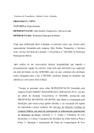 Leia o voto na íntegra - Conselheiro Antônio Carlos Andrada