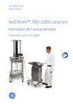 AxiChrom™ 300-1000 columns - GE Healthcare Life Sciences