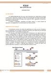 Kit EBV Q-PCR Alert - Cód. RTS020 e STD020