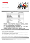 MANUAL DE INSTRUÇÕES BICICLETA ELÉCTRICA