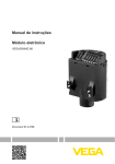 Manual de instruções Módulo eletrônico