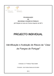 Projecto final PDF