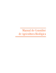 Consultor_for