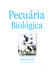 Pecuária biológica bovinos de leite