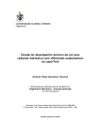 Estudo do desempenho térmico de um piso radiante