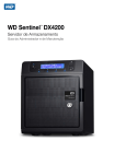 WD Sentinel DX4200