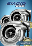 RP SE 21 294 - biagio turbos