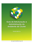 4.3 O Projeto de Cluster