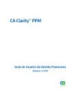 Guia do Usuário de Gestão Financeira do CA Clarity PPM