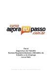 Ministério do Trabalho e do Emprego Lucas Neto