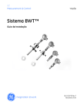 Sistema BWT™ - GE Measurement & Control