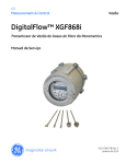 DigitalFlow™ XGF868i - GE Measurement & Control