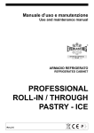 professional roll-in / through pastry - ice