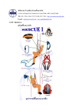 rescue 1 - บริษัท แอส วัน เอเซีย (ประเทศไทย) จำกัด