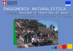 Manuale di Ingegneria Naturalistica