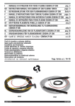 I - MANUALE DI ISTRUZIONI PER TORCE PLASMA