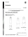 311848B Displacement Pump