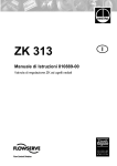 ZK 313